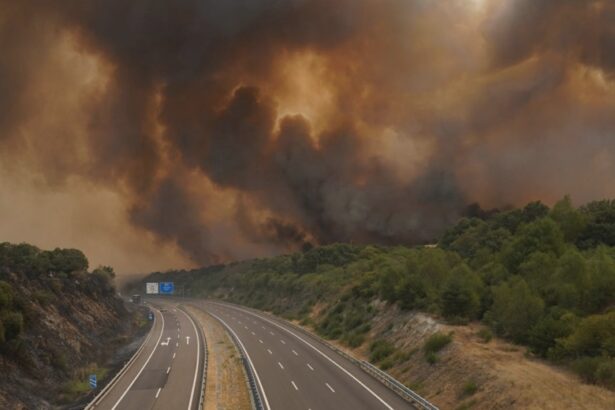 heatwave that fuelled deadly wildfires was spains most intense on record 68ab591486cf6