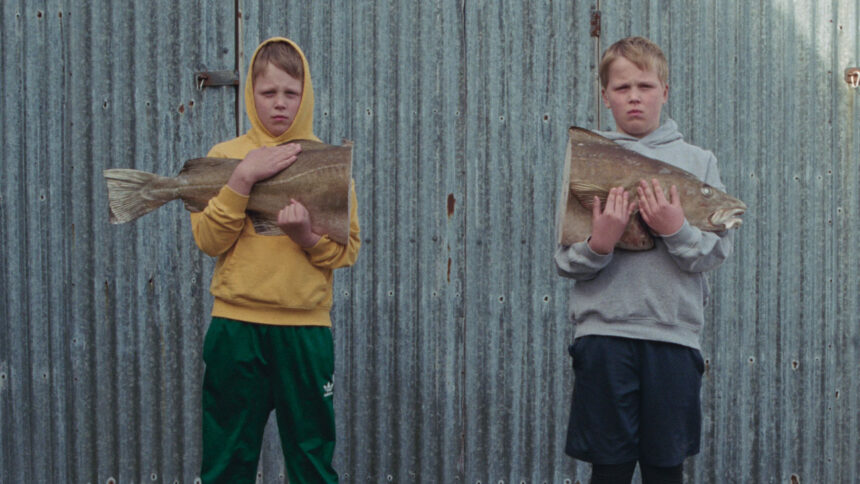 oscars iceland picks the love that remains as best intl feature submission 68aeed609b719
