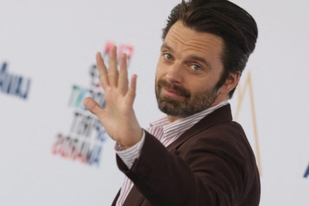 sebastian stan va juca in frankenstein in romania regizat de radu jude filmul va include o inchisoare cia si legenda monstrului 68aa08062116d