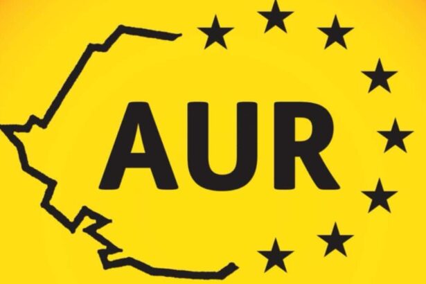 amenintari la adresa unui consilier aur din ilfov dupa ce a reclamat nereguli la reparatiile unei scoli te dezmembrez 68cc123af0b23