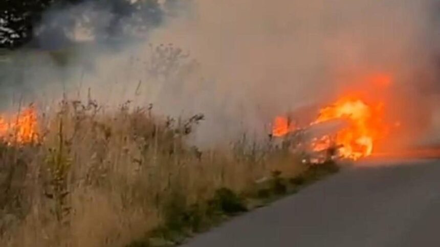 barbat retinut dupa ce a provocat un incendiu masiv de vegetatie intre bucuresti si ilfov motivul pentru care a recurs la acest gest i a lasat cu gura cascata pe politisti 68c81a4cb37ba