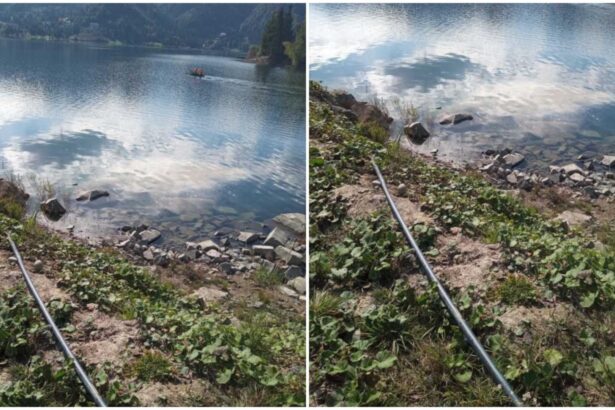 deversari ilegale de ape uzate in lacul colibita operator economic amendat cu 30 000 de lei 68dc34ee85387