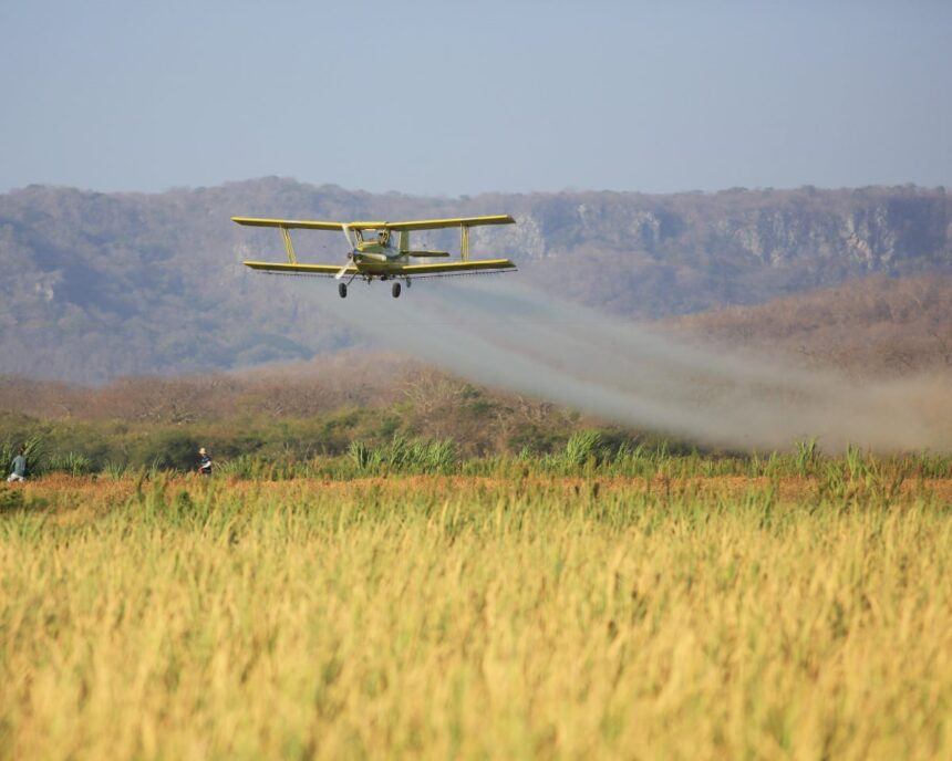 eu chemical firms plan to export rising quantities of toxic pesticides documents show 68d21d3191645