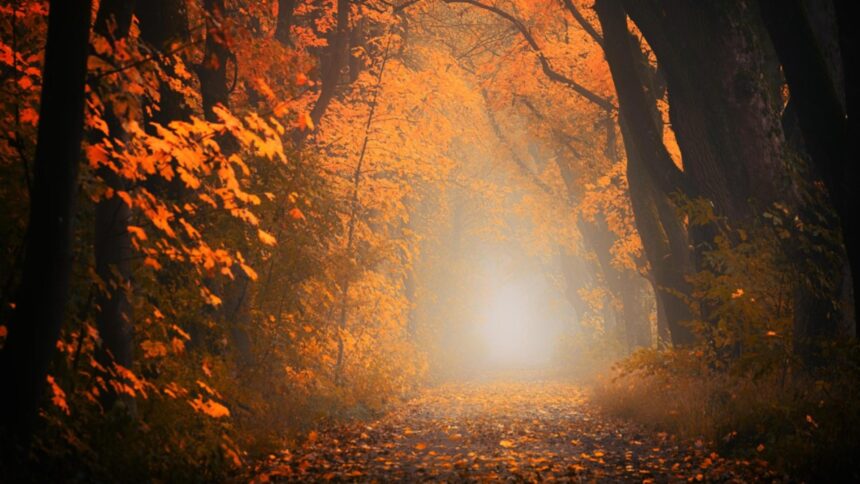 horoscopul saptamanii 29 septembrie 3 octombrie 2025 ce iti aduce inceputul lunii in functie de zodie 68da315615b3e
