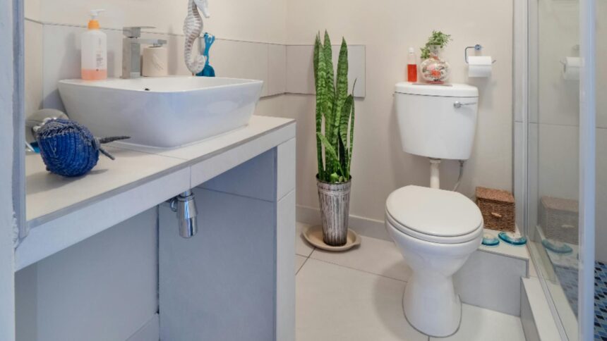 Enigma prafului din baie: strategii ingenioase pentru a-l înfrunta 1 de ce se face praf in baie ce trebuie sa faci ca sa previi aparitia acestuia 68e4c421a4bef