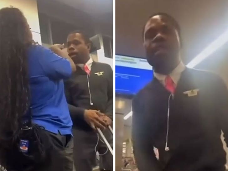 delta flight attendant goes berserk at southwest gate agent video shows 68f77ea22d2c4