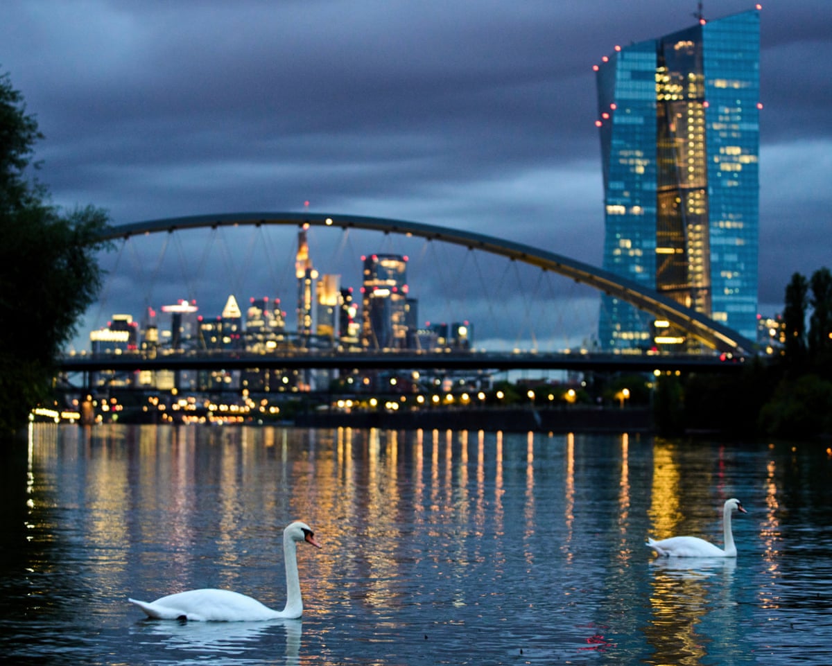 ecb keeps interest rates on hold despite eurozone inflation fears 69036dbb7a94f