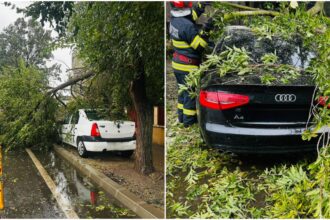 furtuna a facut ravagii in bucuresti peste 200 de copaci au fost doborati de vantul puternic iar 163 masini au fost avariate video 68e0c077bb603