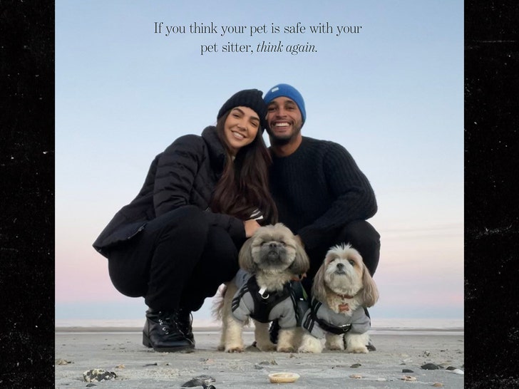 hgtv couple claims pet sitter covered up poochs brutal death by bigger dog 68fab437977d3