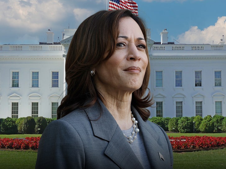 kamala harris teases presidential run 68fcfbbe8a8ac