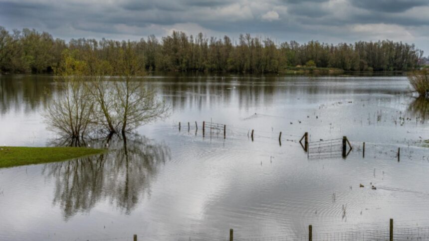 Ministrul Energiei mobilizează o echipă de urgență pentru a contracara efectele vremii nefavorabile care afectează România 1 ministrul energiei mobilizeaza comandamentul energetic pentru criza ca raspuns la vremea extrema care pune romania in primejdie 68e54c4843c4e