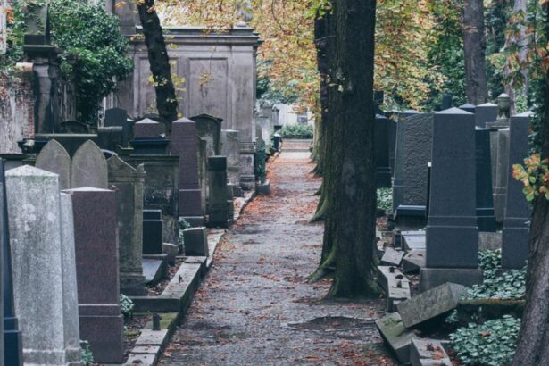 soc in argentina un tanar declarat mort a aparut la propria inmormantare 68de4a26d1949
