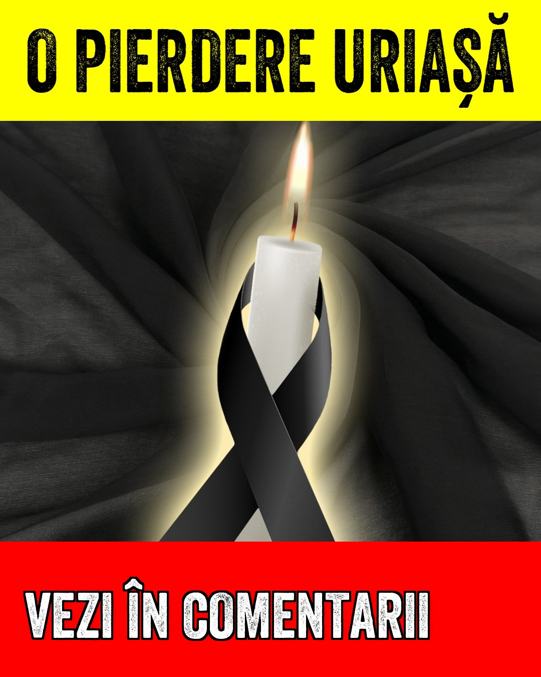 580568810 844299738190408 8263236327657575564 n