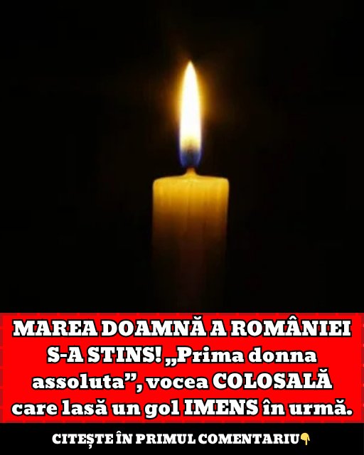 585096542 692854327233165 7649115931070259880 n