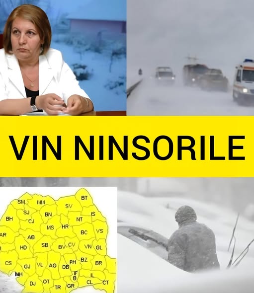 585281796 1433719308118950 6196569307966054505 n