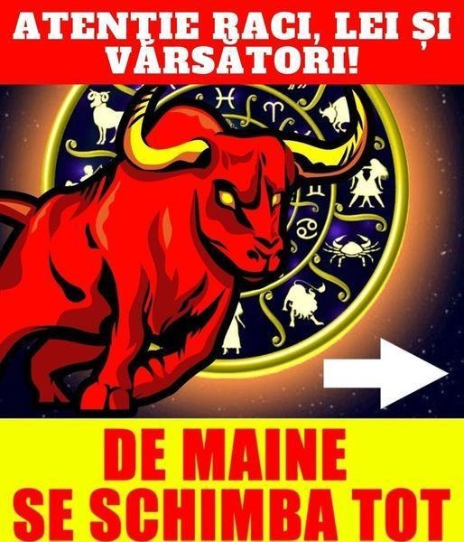 585306207 1433646171459597 5549188111269656179 n