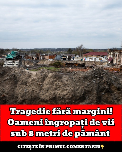 585319852 693610550490876 3550340091285625404 n