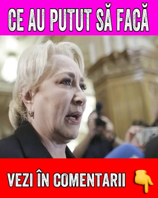 587244948 855924387027943 7607785020798248431 n