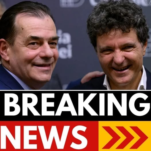 588691445 1429900705801750 3855512850298357054 n