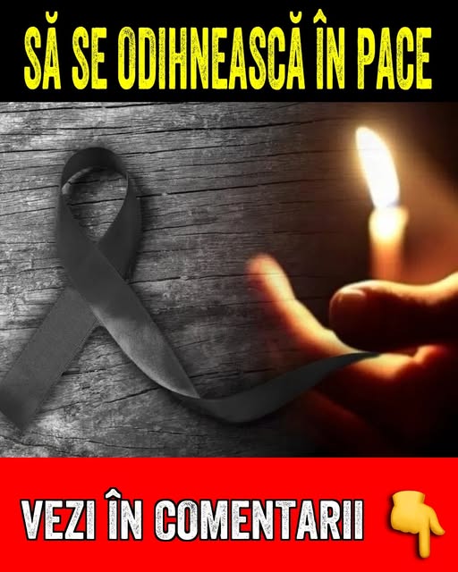 589494931 855795130374202 3716978711888229566 n