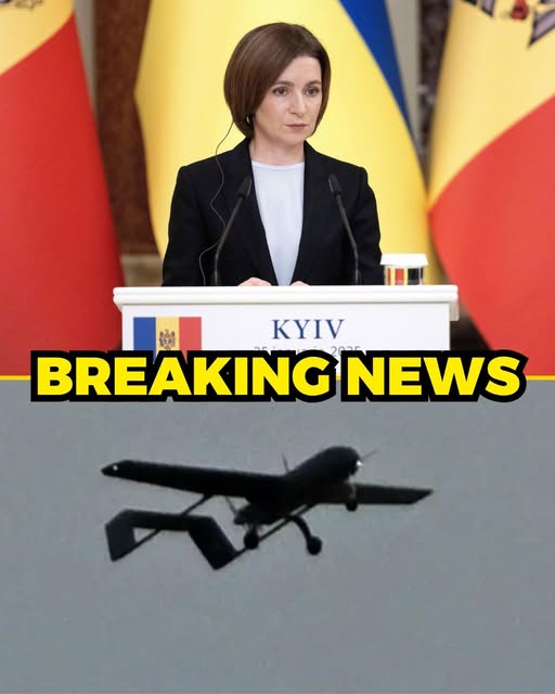 589802391 1429809202477567 4381231435405854316 n