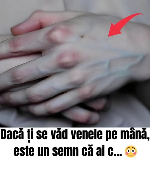 590354484 122151850382659465 69330472611634956 n