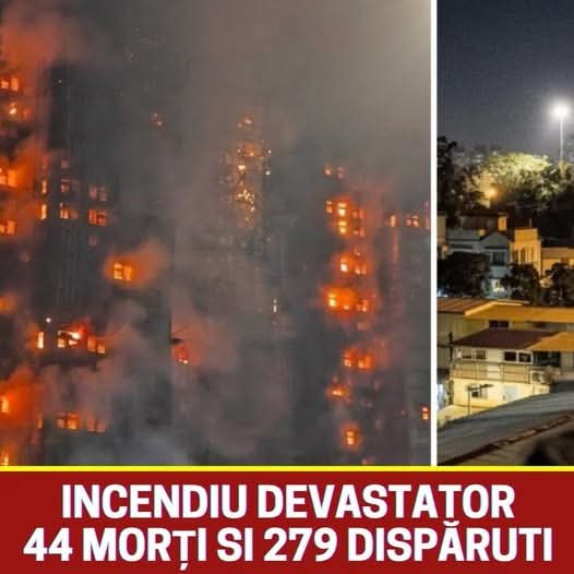 591424674 122236266854057410 3139568331004146791 n