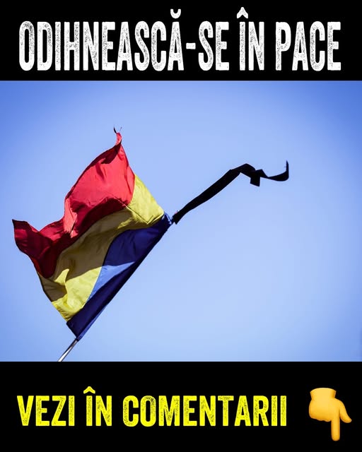 591637736 855786640375051 6752323073357613422 n