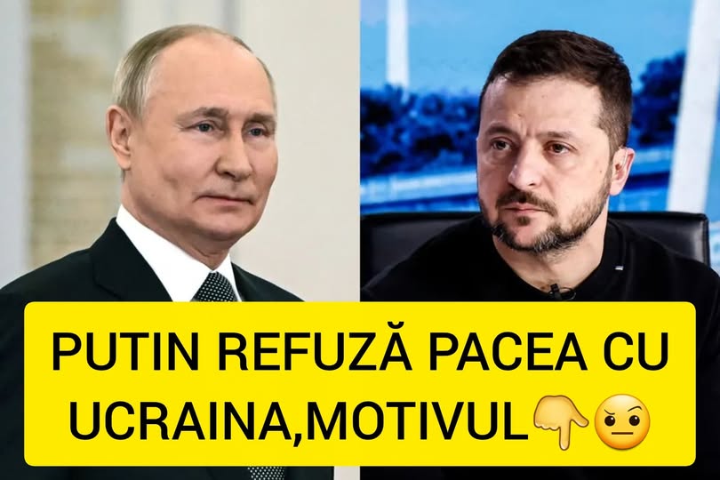 591728928 122151797822659465 6962755658572851578 n