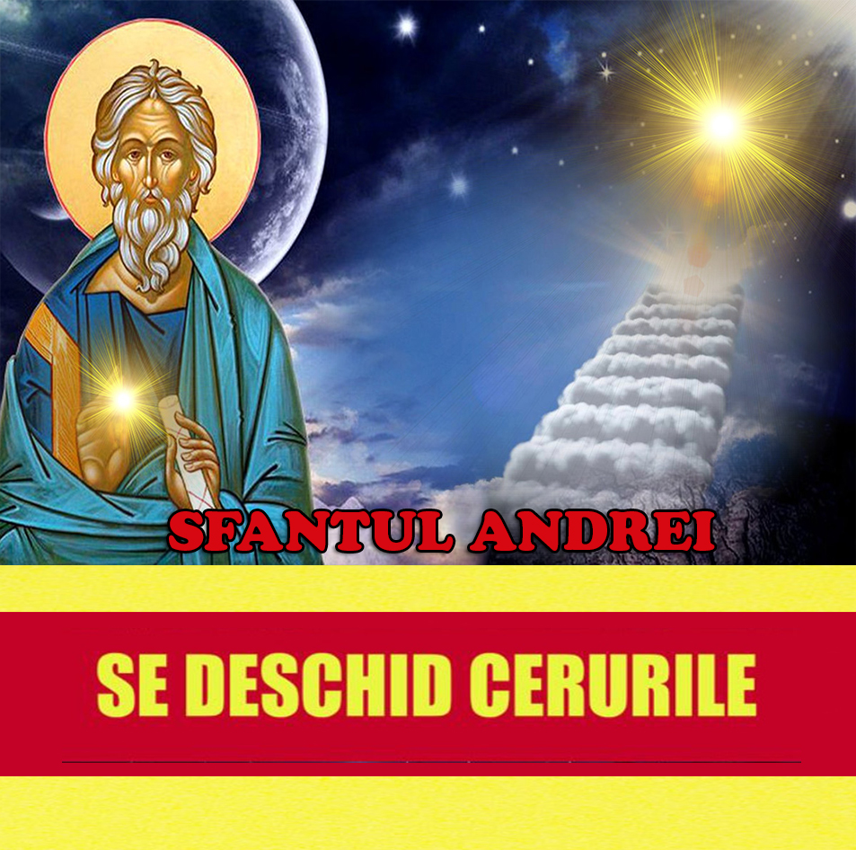 592399588 1441317010692513 8579759977657539904 n