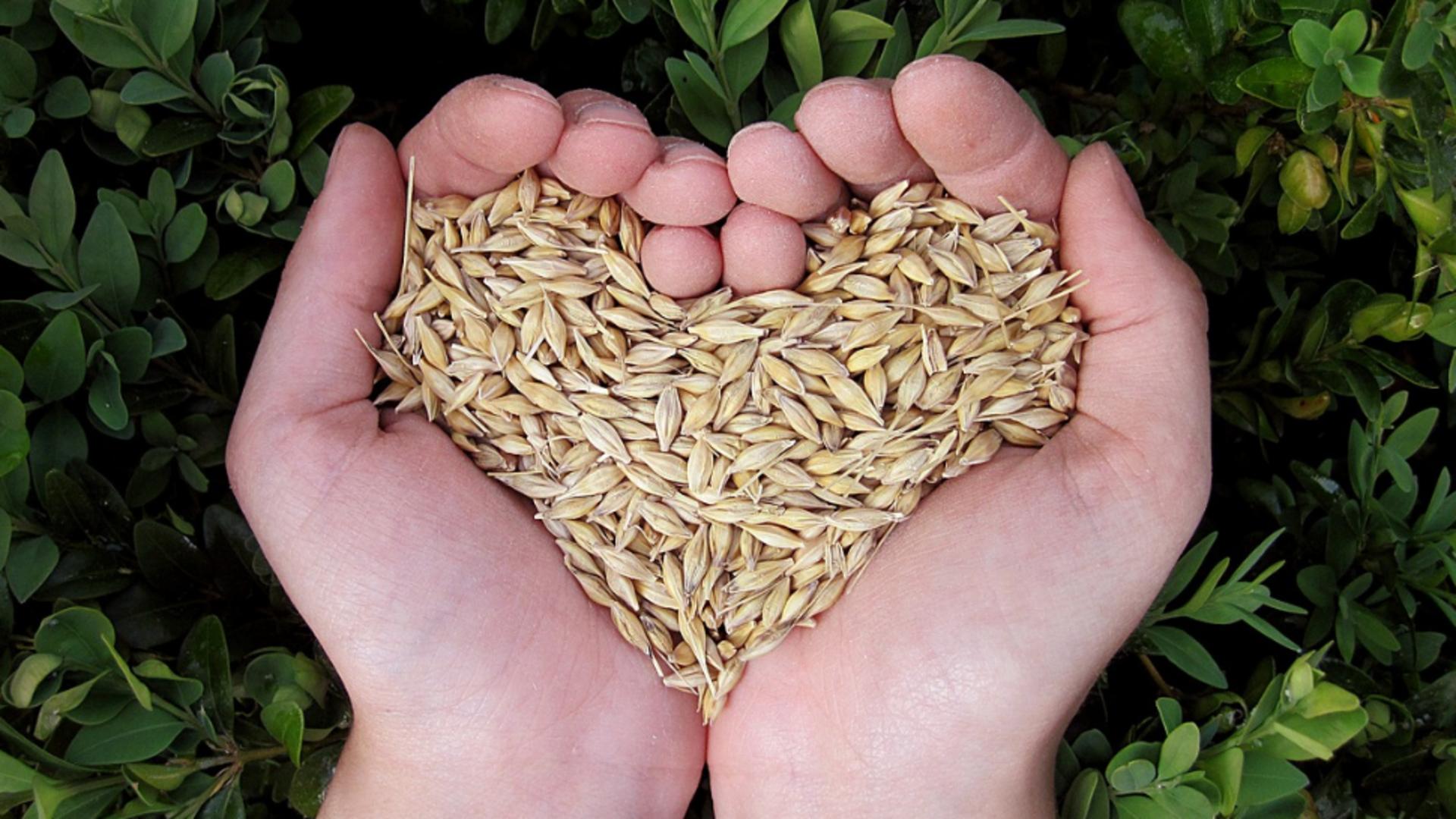 alimente care curata vasele de sange si sustin sanatatea inimii 6923fed57cc27