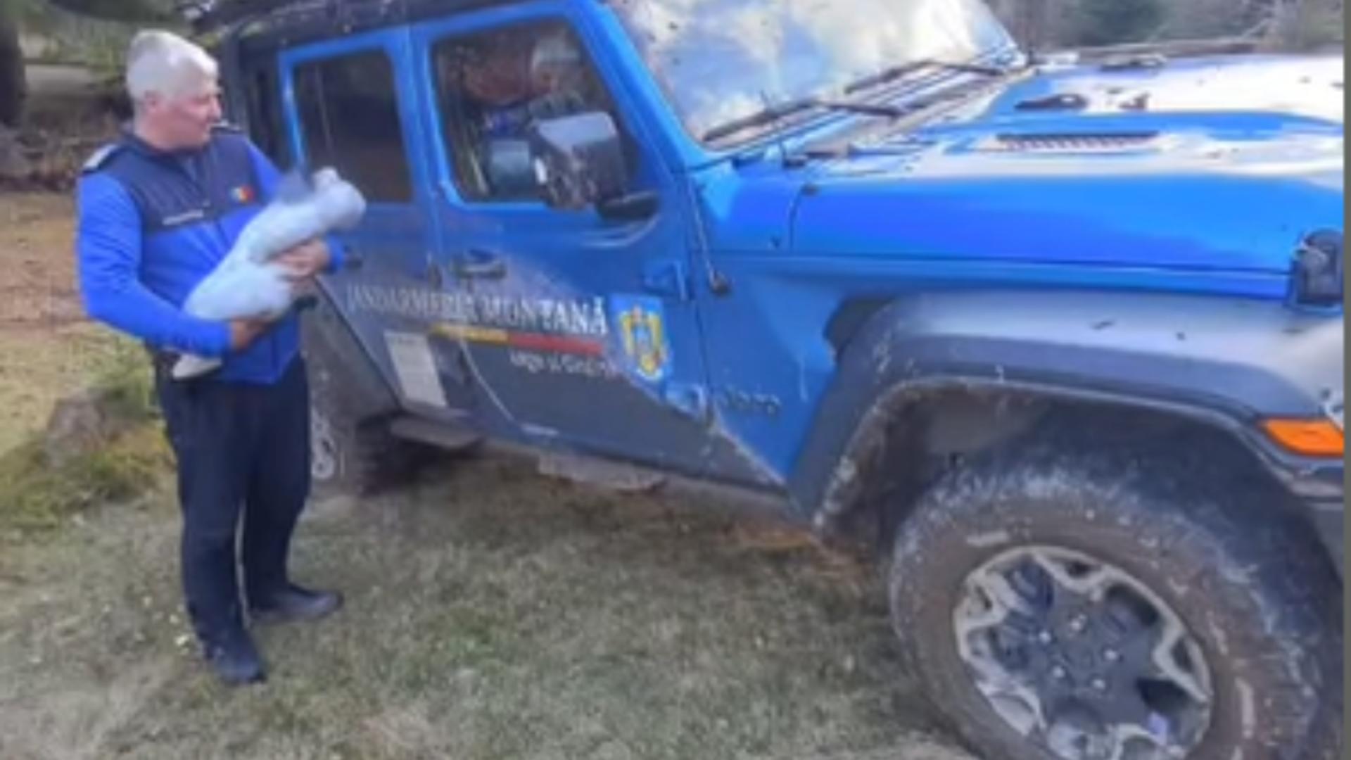Bebeluș de trei luni, prins într-o aventură montană alături de părinți: salvare spectaculoasă a jandarmilor într-o cursă contra timpului și a frigului 1 bebelus de numai trei luni blocat pe munte cu familia interventie dramatica a jandarmilor in lupta contracronometru cu frigul 6922014e59410