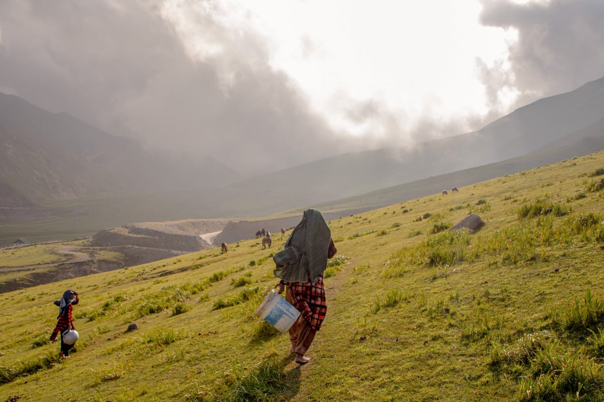 born in the forest the women giving birth alone in the kashmiri mountains 691baae88008d