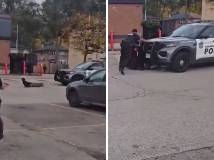 cop car rolls over suspect when officer forgets to put it in park on video 69091c2e2273a