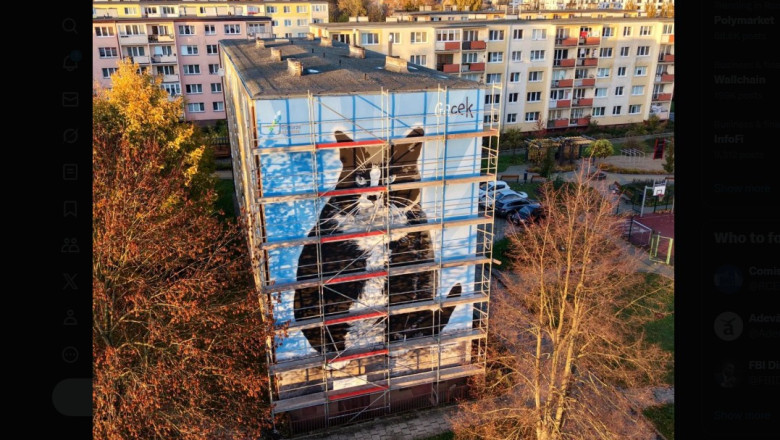 cum arata kim kardashian a lumii pisicilor felina a fost onorata cu o pictura murala uriasa intr un oras polonez 690d7d6e98d43