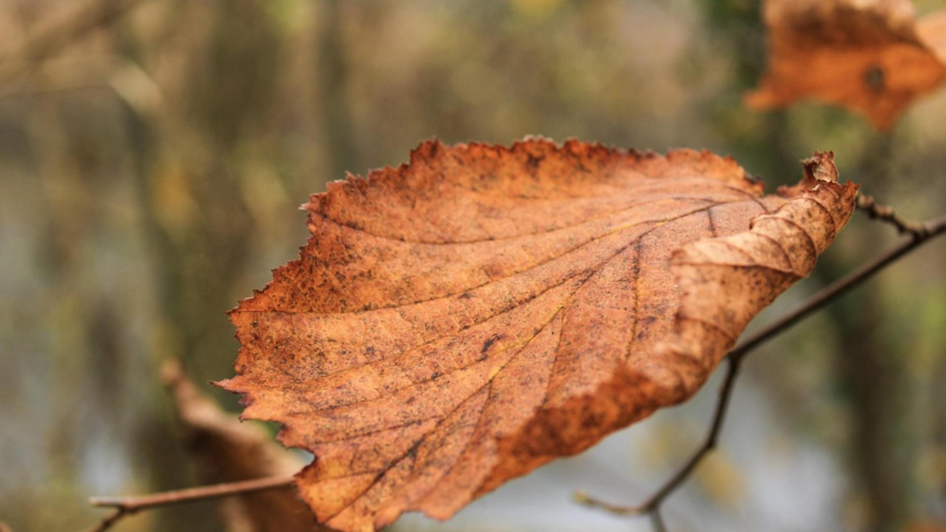 cum va fi vremea in intervalul 24 30 noiembrie 2025 temperaturi in usoara crestere 6924038093208