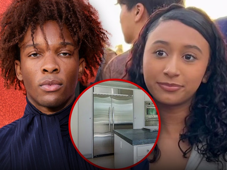 Locuința lui D4vd, închiriată și cu un congelator intrigant, atrage atenția poliției 1 house d4vd rented had freezer point of interest for cops 692384aba437f