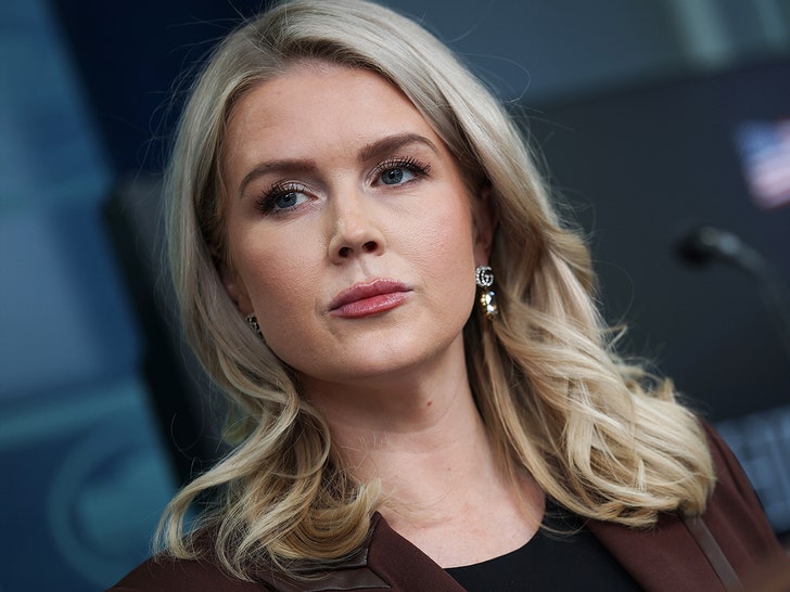 ice arrests woman with family tie to white house press secretary karoline leavitt 6927078529a54