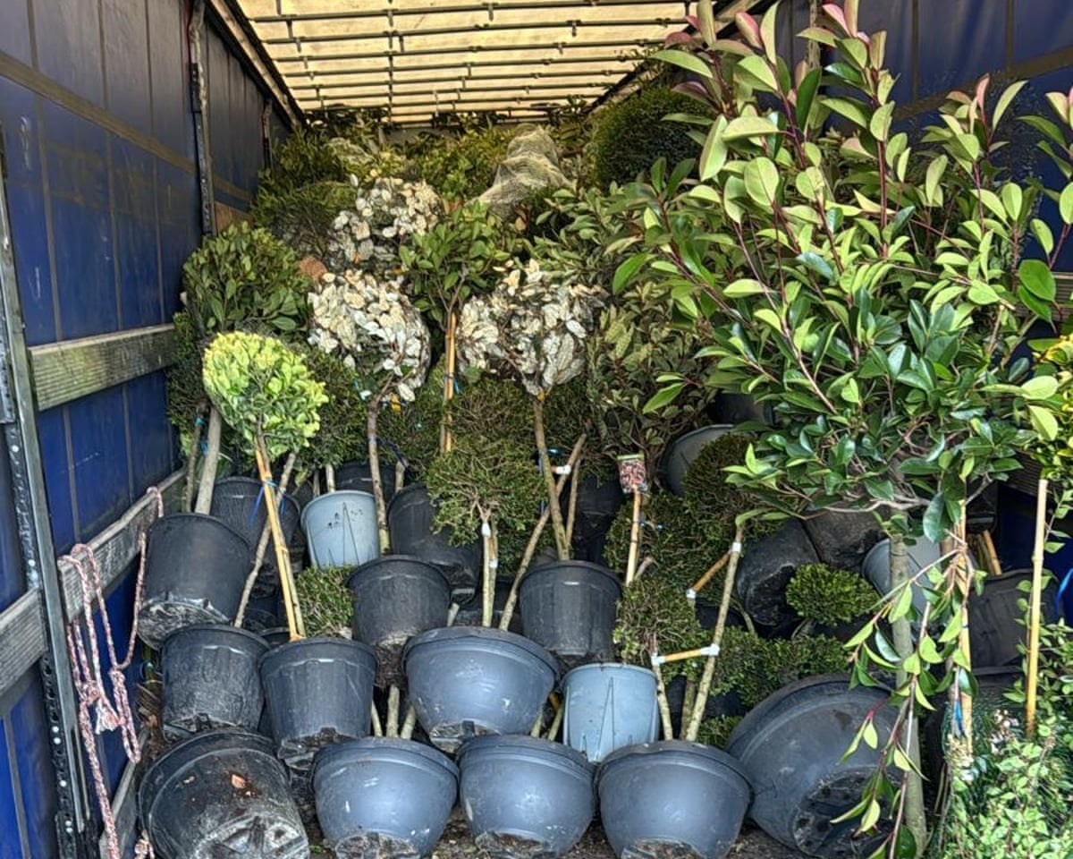 plant importers say border delays in kent could drive up prices and stop deliveries from eu 690f4b3e2c150