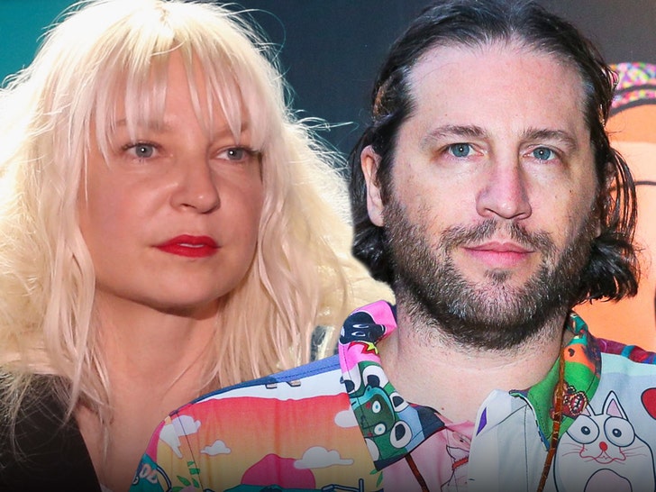 sia plans to testify at upcoming spousal support and custody hearing 691f8f05cff47
