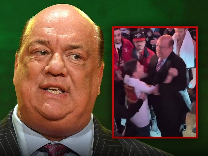 wwe star paul heyman shoves young fan away from logan paul on video 692caffed83cd