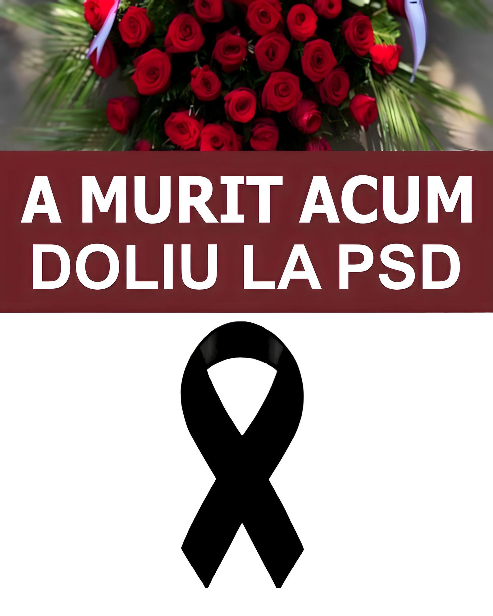 578666401 122143204292655288 6545294534108838470 n