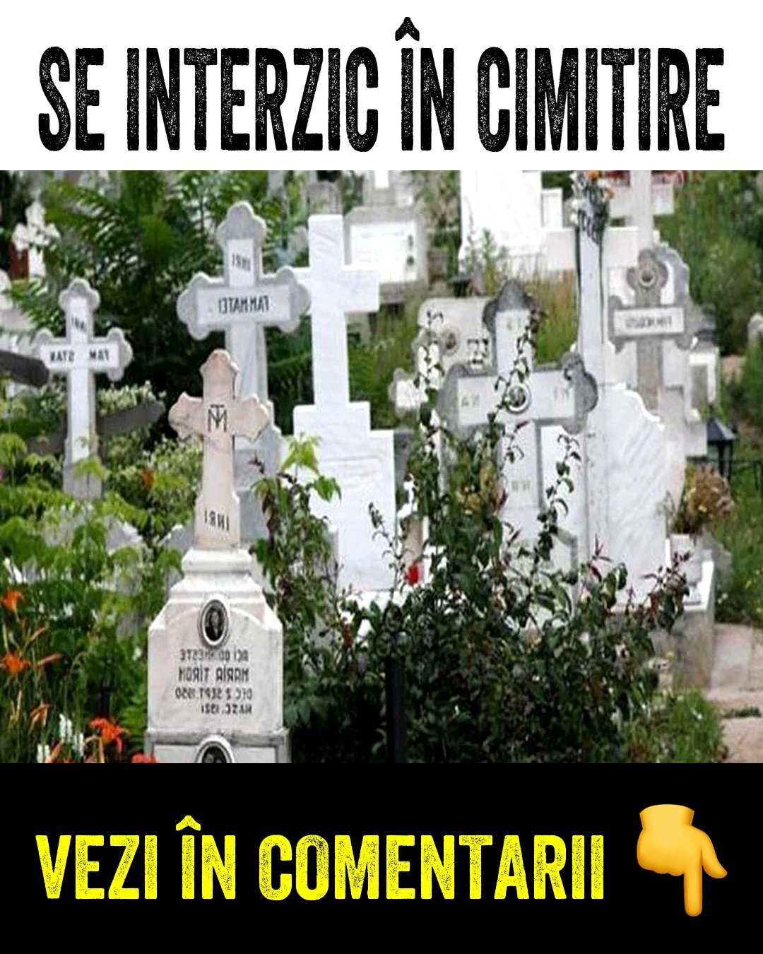 584500928 122143615112655288 2236248989635106102 n