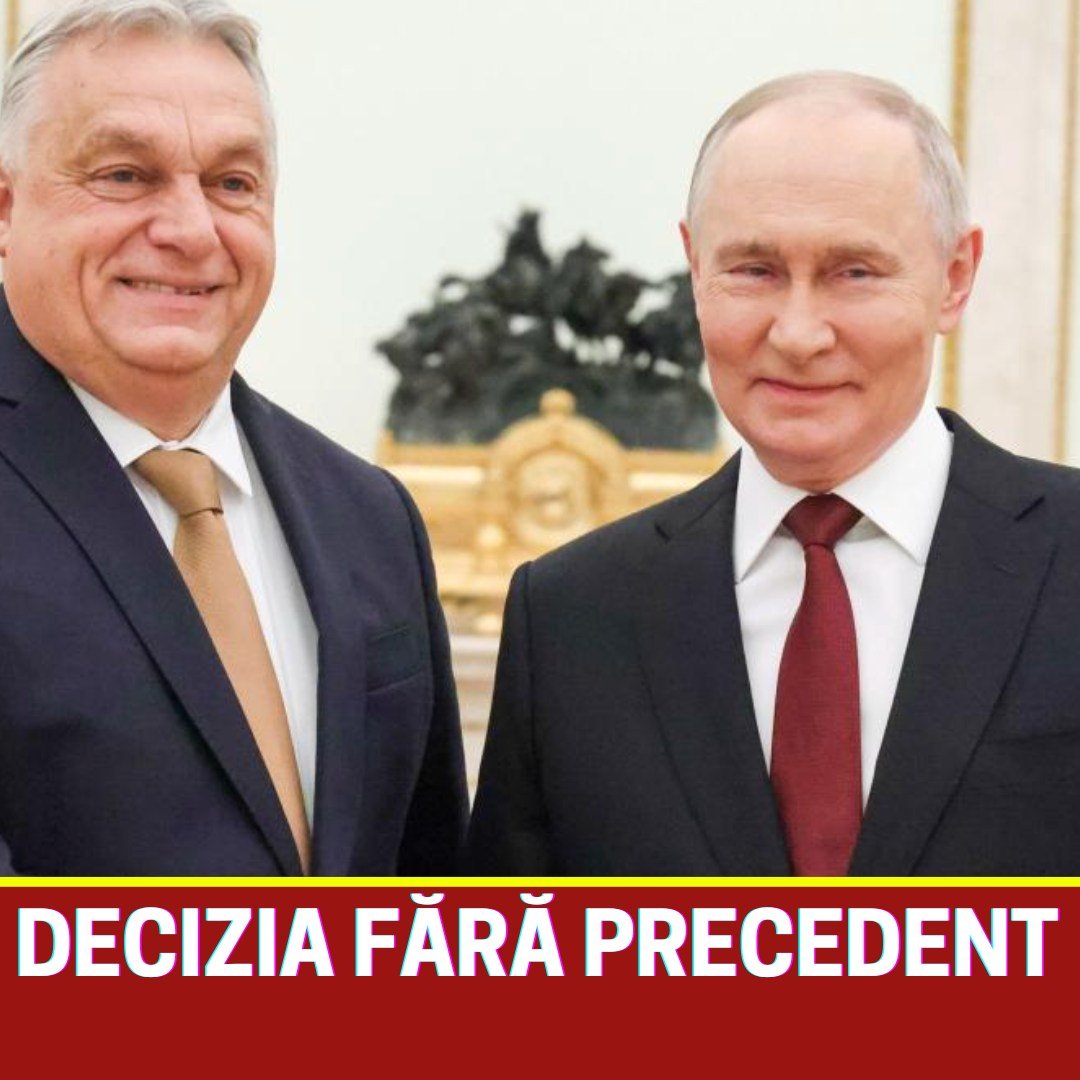 587359330 1441809060643308 8978883781328933071 n