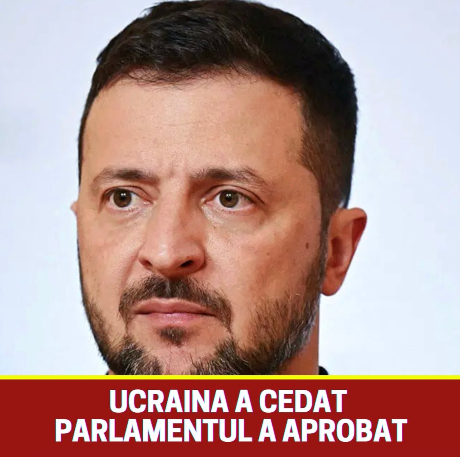 588737056 1441979740626240 7032173505661076558 n