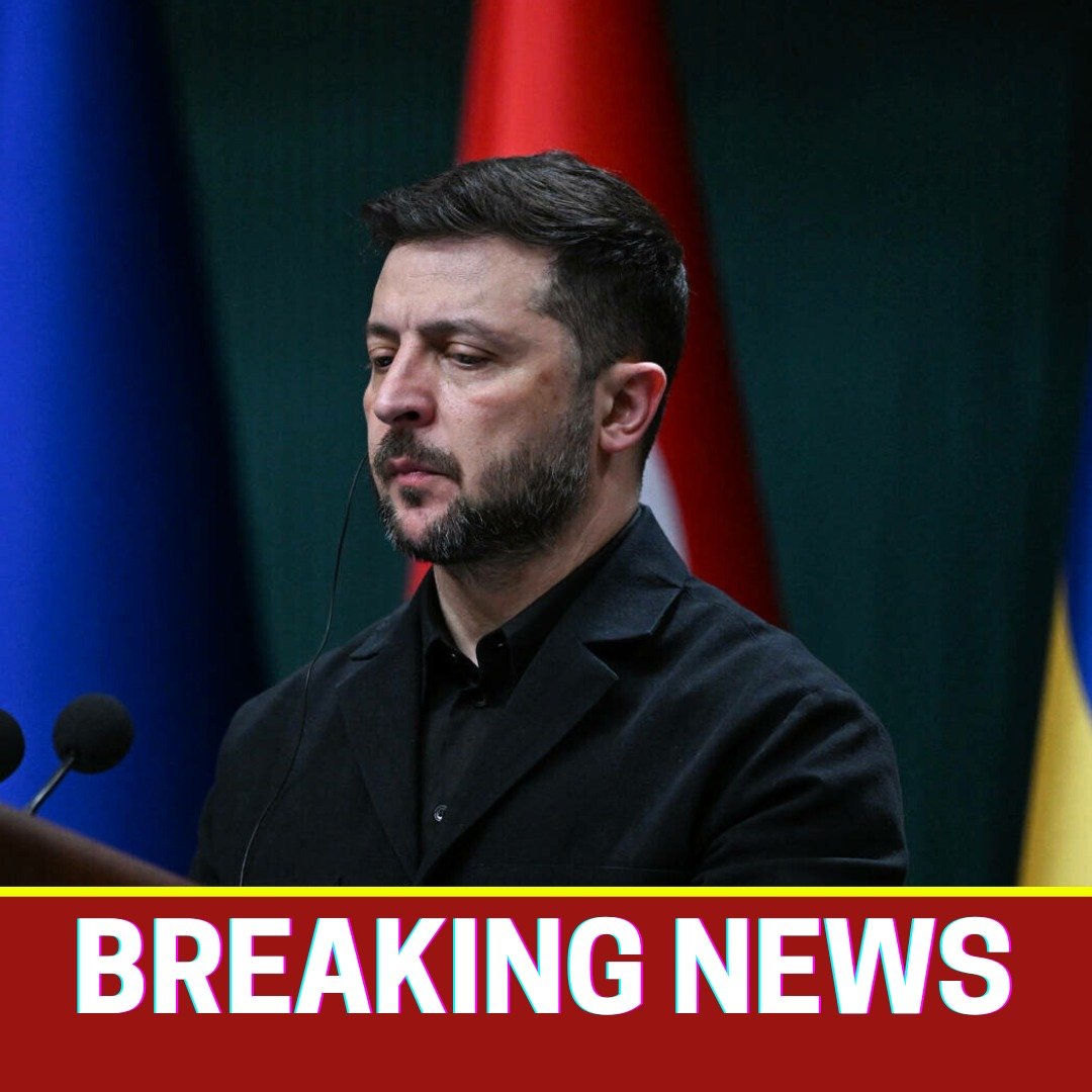 589739336 1442605923896955 8086764105794503134 n