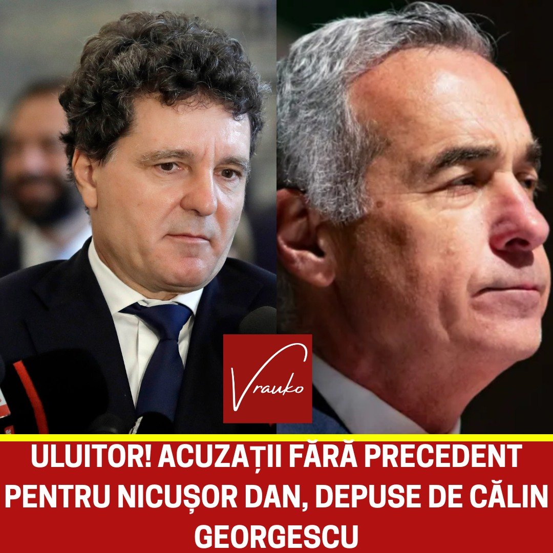 591386979 1441348667356014 599048387337667887 n