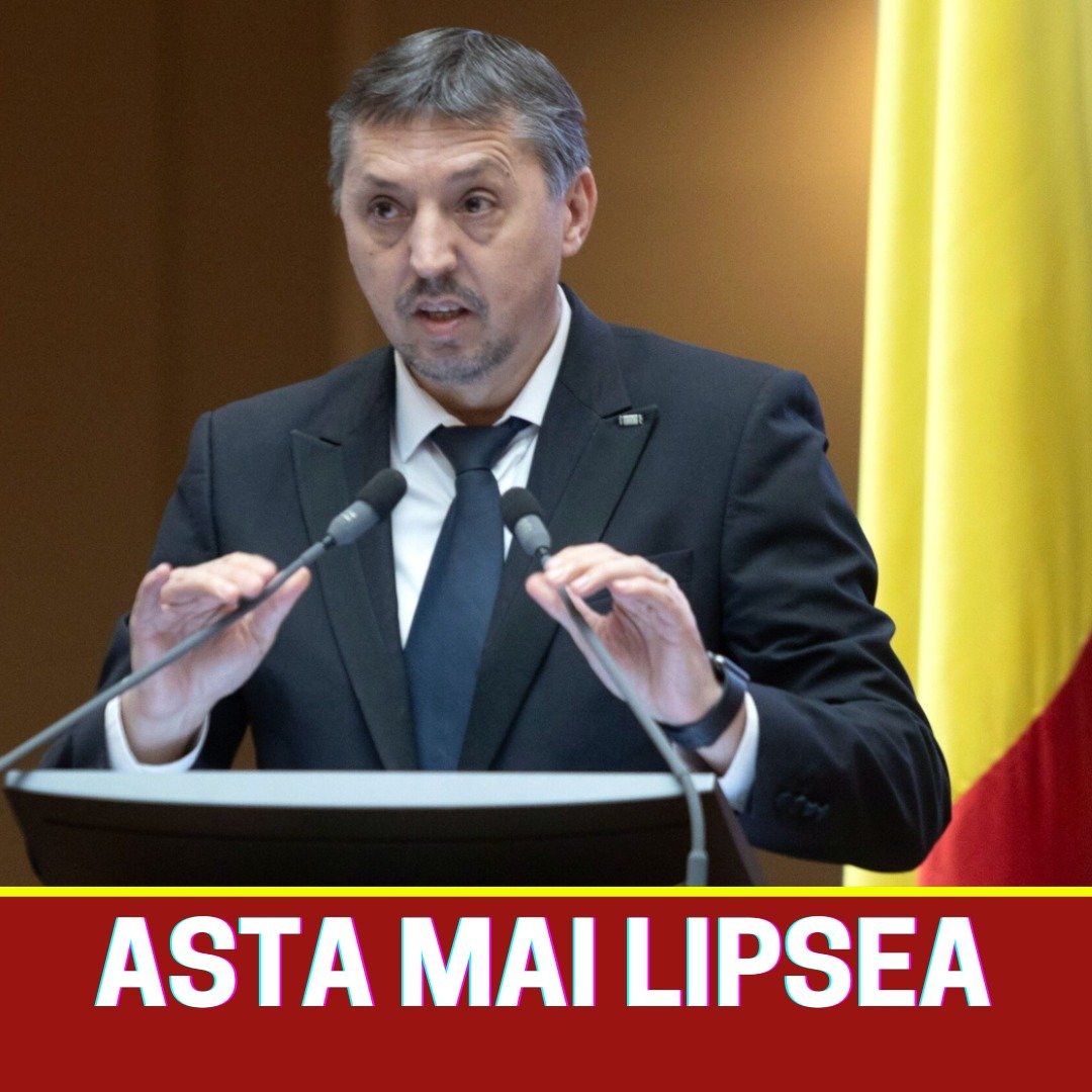 593982335 855373503914376 1976594790027292008 n