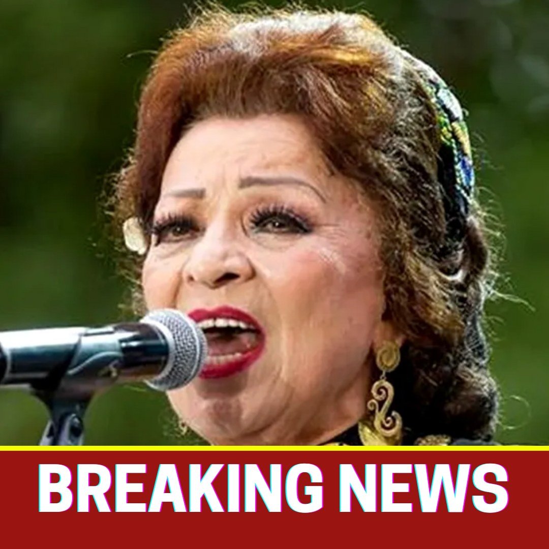 597654883 1449194513238096 5545065561539253317 n