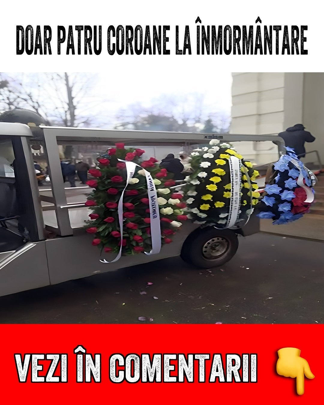 597688267 865202459433469 3035893472764686021 n